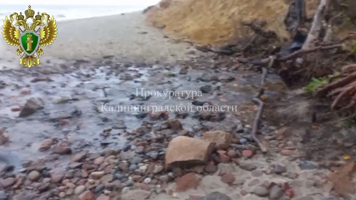 Природоохранная прокуратура начала проверку из-за сообщений о сливе сточных вод в Балтийское море Природоохранная прокуратура начала проверку из-за сообщений о сливе сточных вод в Балтийское море